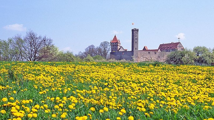 Burg Abenberg im Sommer
